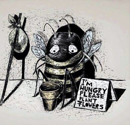 abeilles,produits phytosanitaires,aider les abeilles,lutte contre la vie chère,nouvelle-calédonie